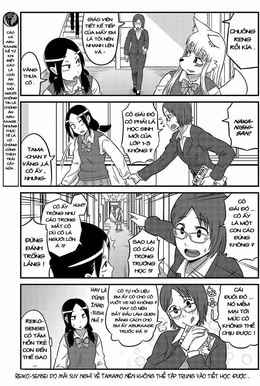 high school inari tamamo-chan ! chapter 3 4