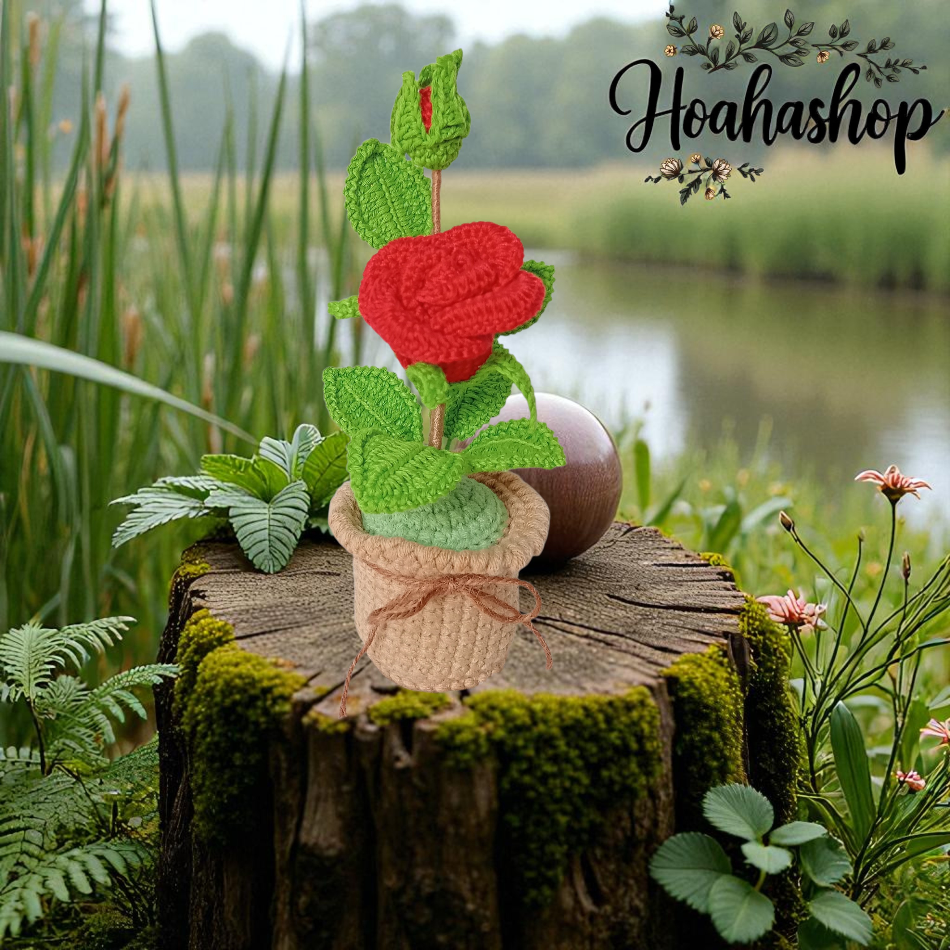 Chậu hoa hồng mini handmade – điểm xinh cho góc làm việc