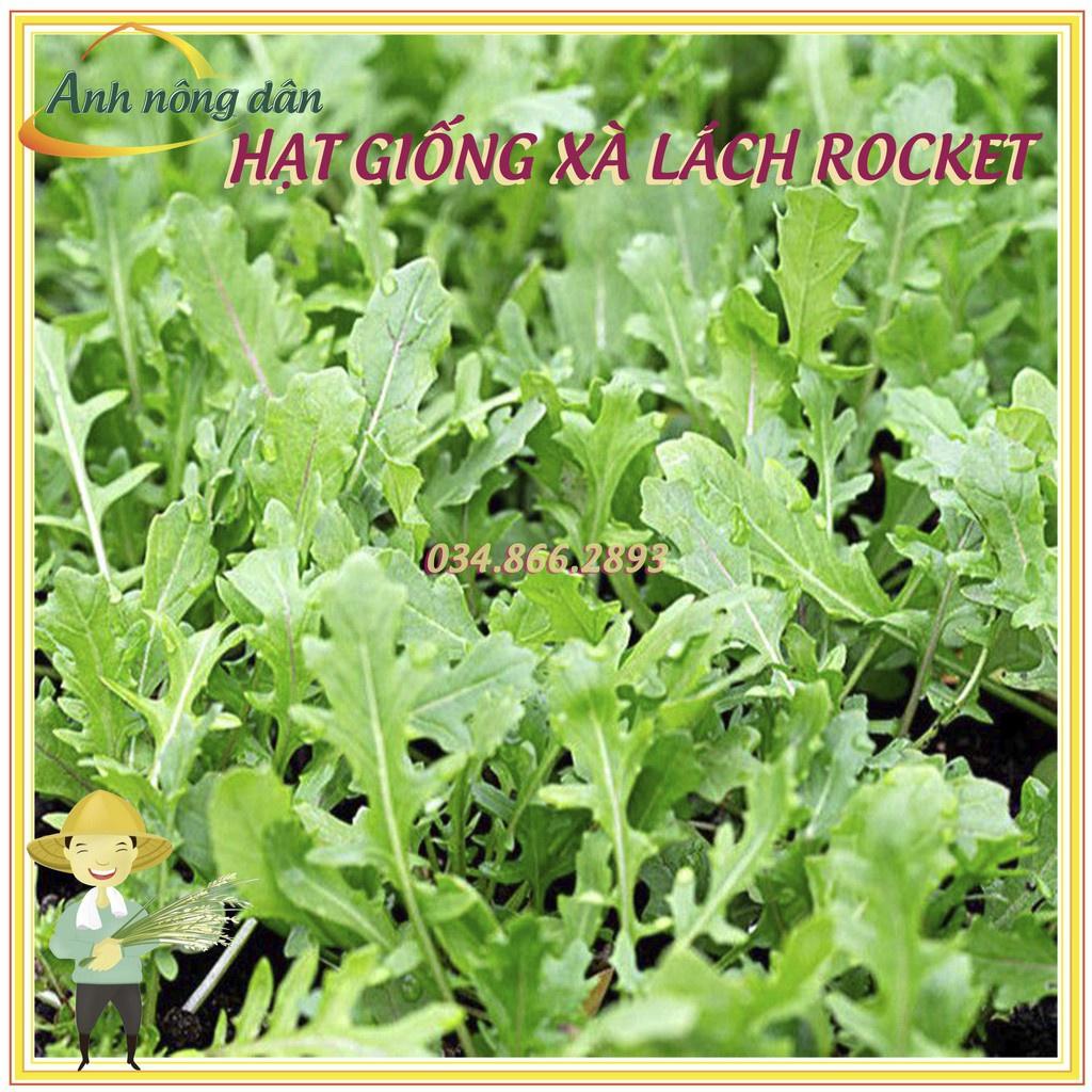 Gói 2gr Hạt giống rau xà lách rocket, rau arugula F1 cao sản chất lượng cao