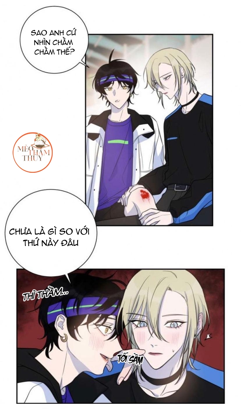 khẩu vị và sự tôn thờ của người yêu tôi chapter 23 17