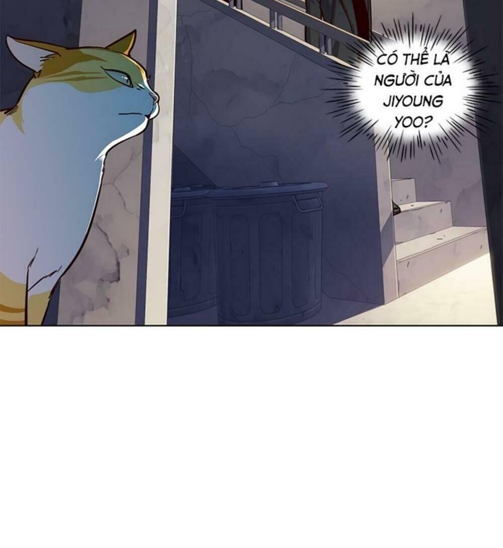biến thân thành mèo chapter 19 87