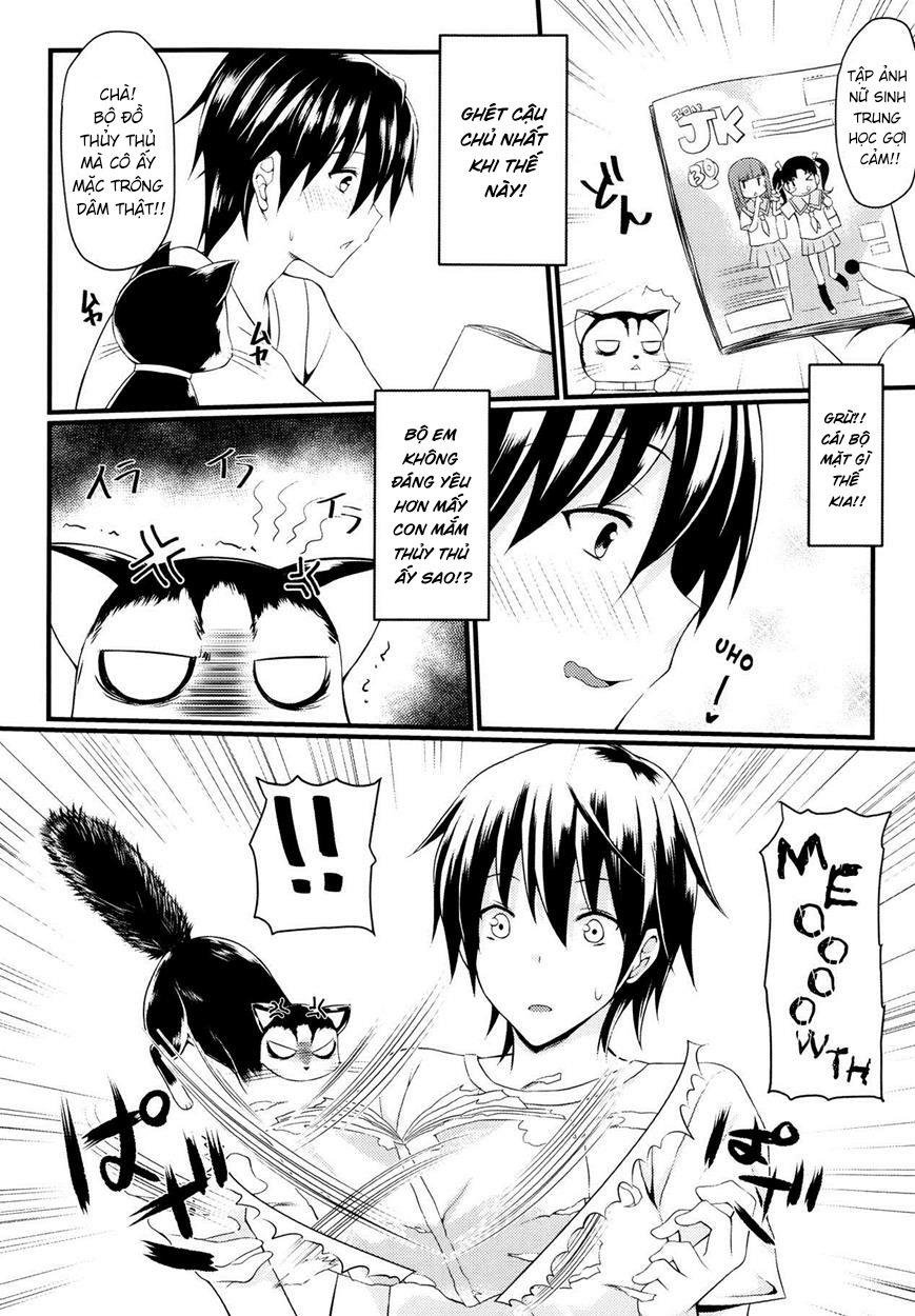 catwoooman chapter 0 6