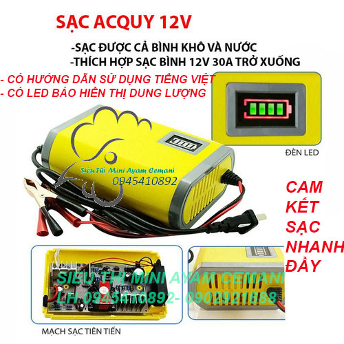 Máy sạc ắc quy tự động 12V-2A