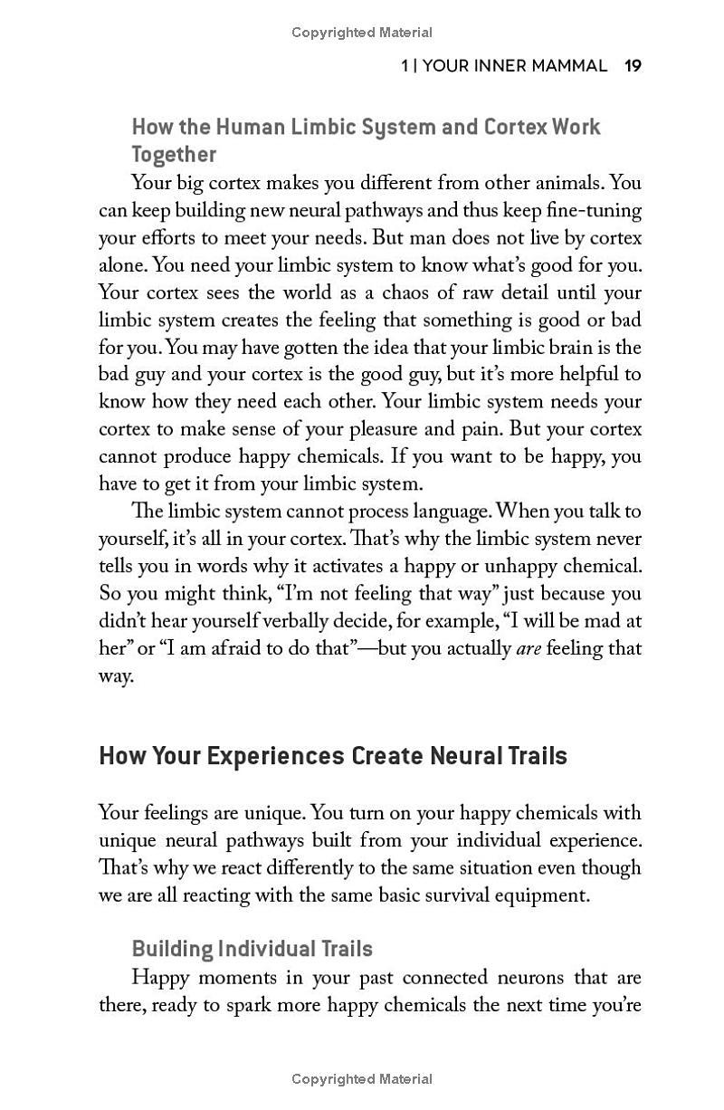 Sách ngoại văn: Habits Of A Happy Brain - Retrain Your Brain To Boost Your Serotonin, Dopamine, Oxytocin And Endorphin Levels