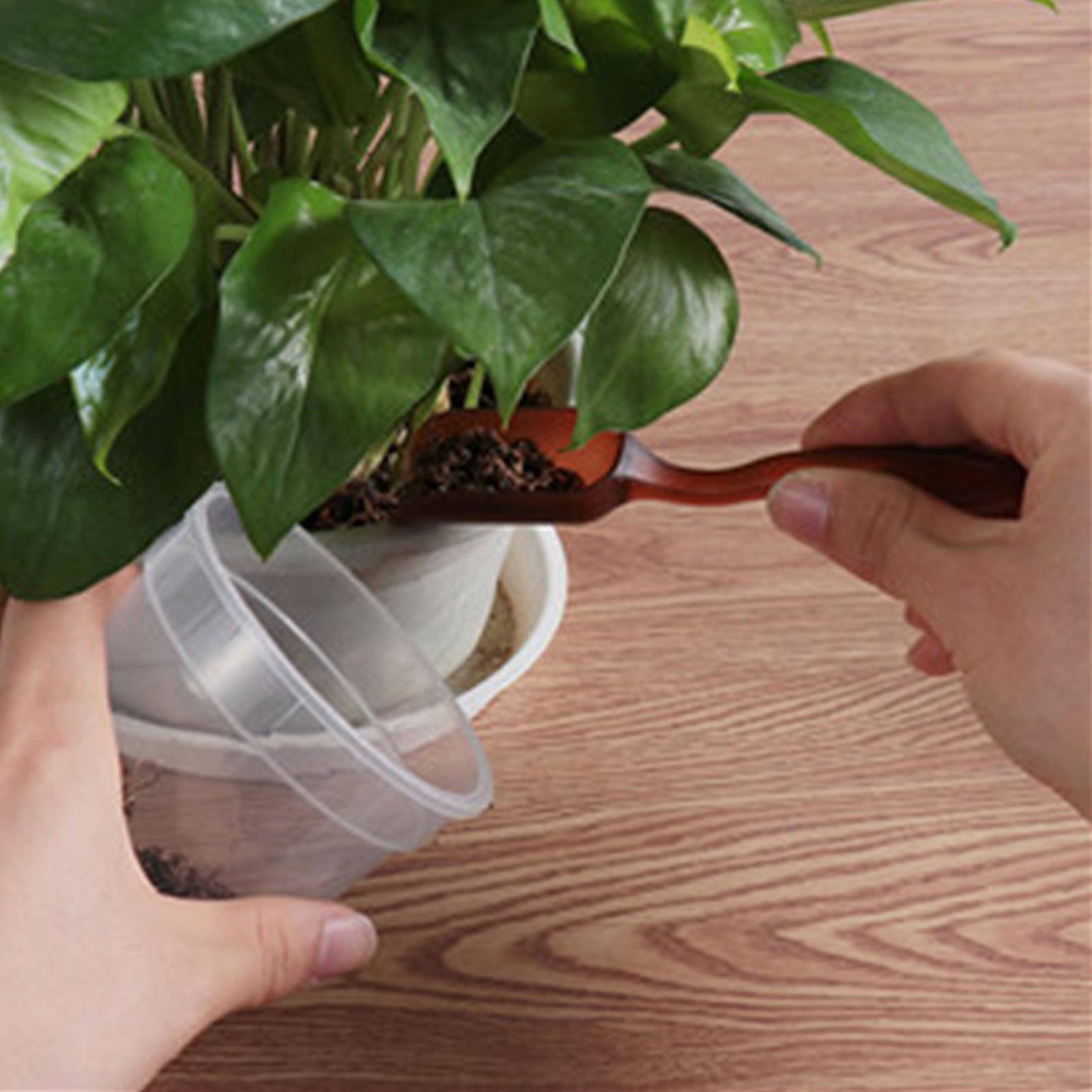 Bộ 12 Dụng Cụ Trồng Cây Trong Vườn Bonsai Cây Mọng Nước