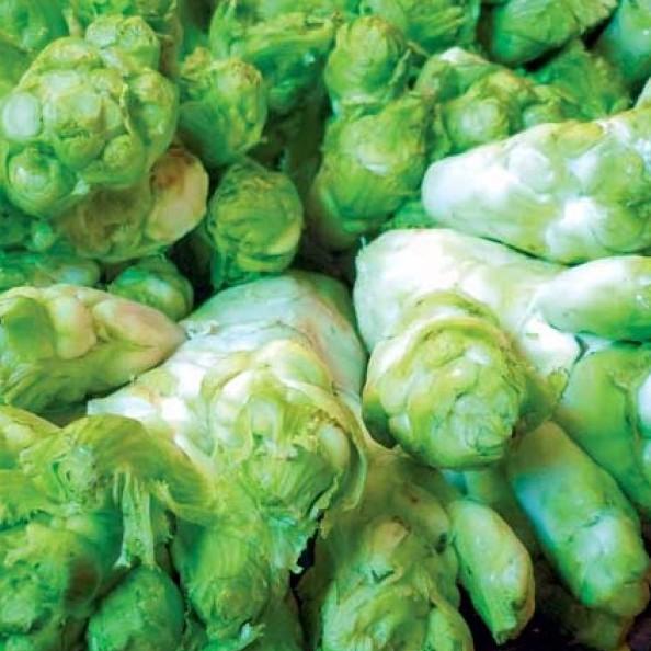 Combo 9 gói hạt giống rau cải ăn mầm