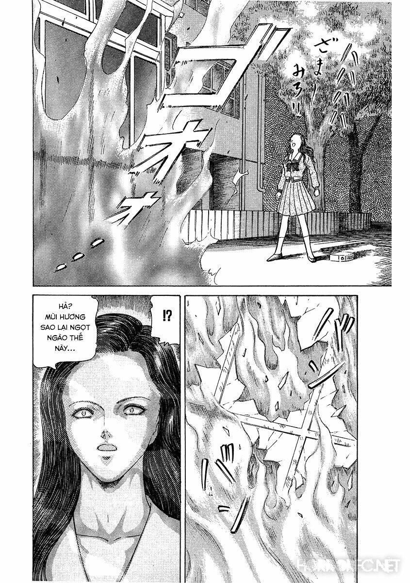 dangerous female teacher chapter 17 12