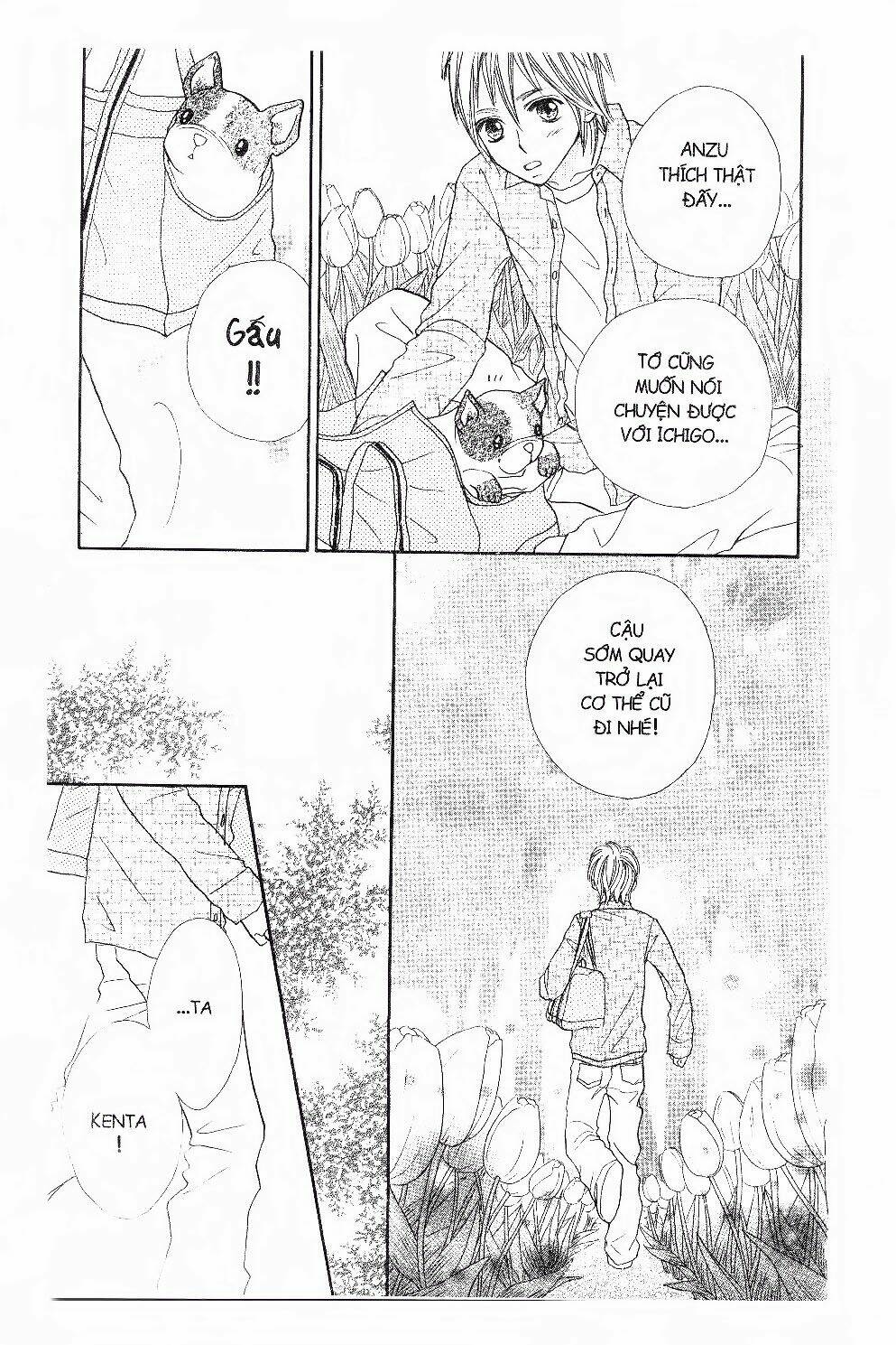 ichigo to anzu chapter 43 10