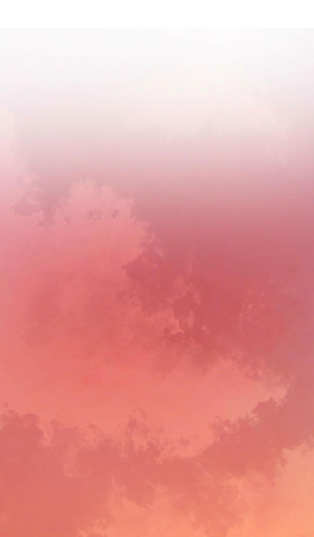 làm dâu nhà tài phiệt họ kang chapter 28 7