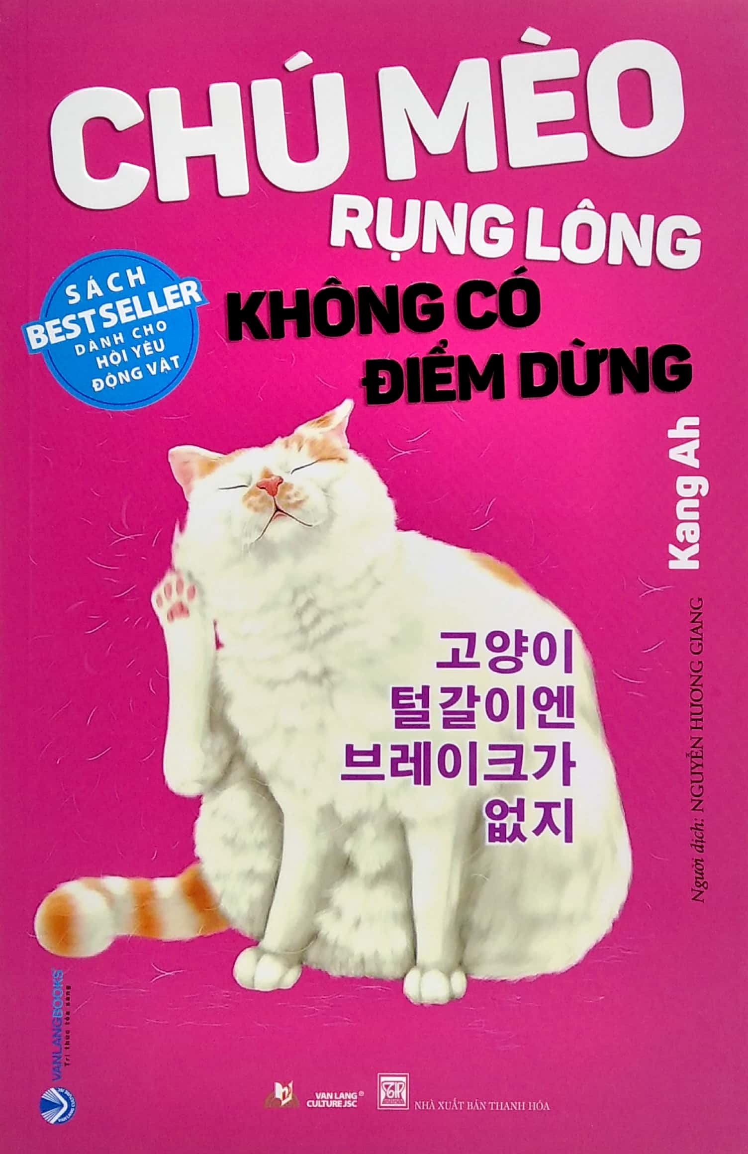 CHÚ MÈO RỤNG LÔNG KHÔNG CÓ ĐIỂM DỪNG