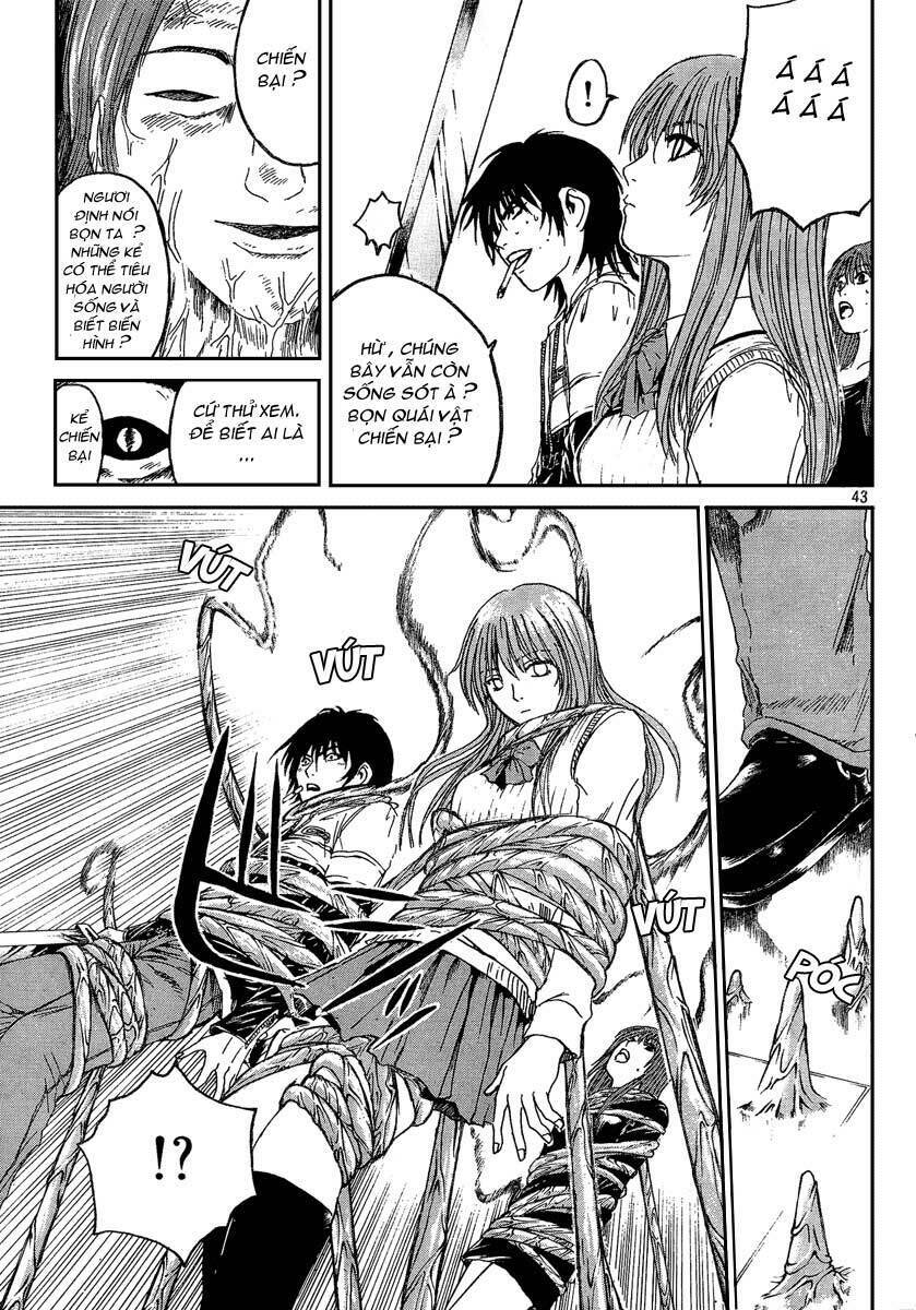 tokko - ác quỷ hồi sinh chapter 8 41