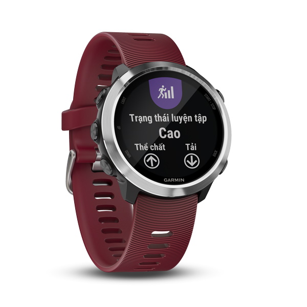 Đồng Hồ Thông Minh Garmin Forerunner 645 Music - Hàng Chính Hãng