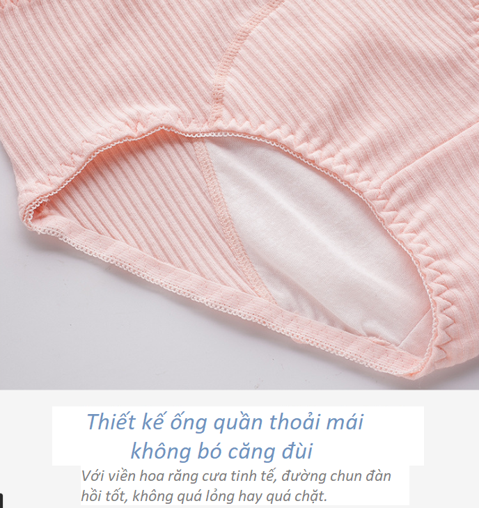 Quần Lót Chống Tràn Nguyệt San Cotton Tăm P152