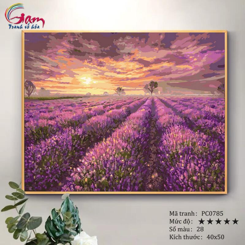 Tranh sơn dầu số hoá phong cảnh tự tô màu Đồng hoa oải hương Lavender PC0785