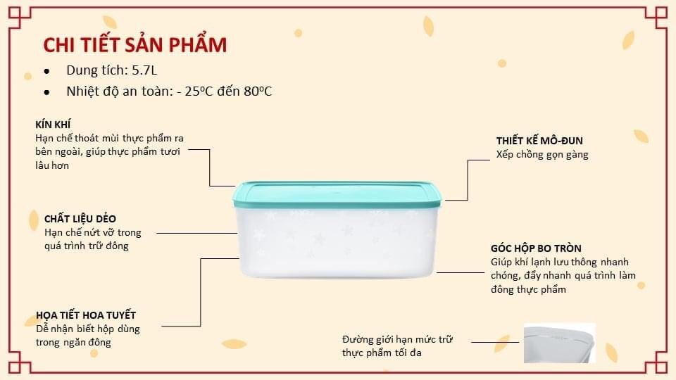 Bộ Trữ Đông Tupperware Freezermate Gen II 5.7L