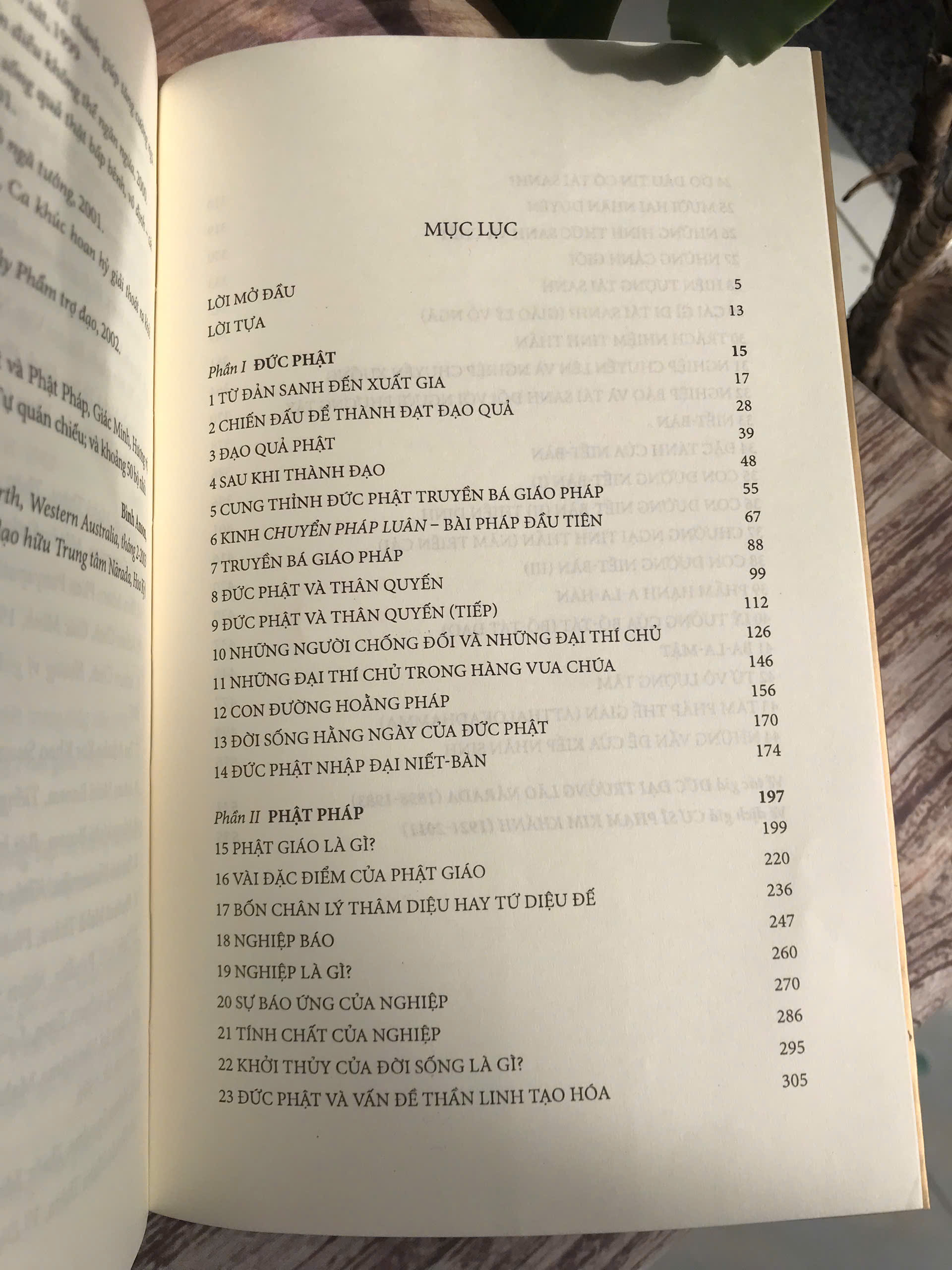 Đức Phật và Phật Pháp (bìa mềm)
