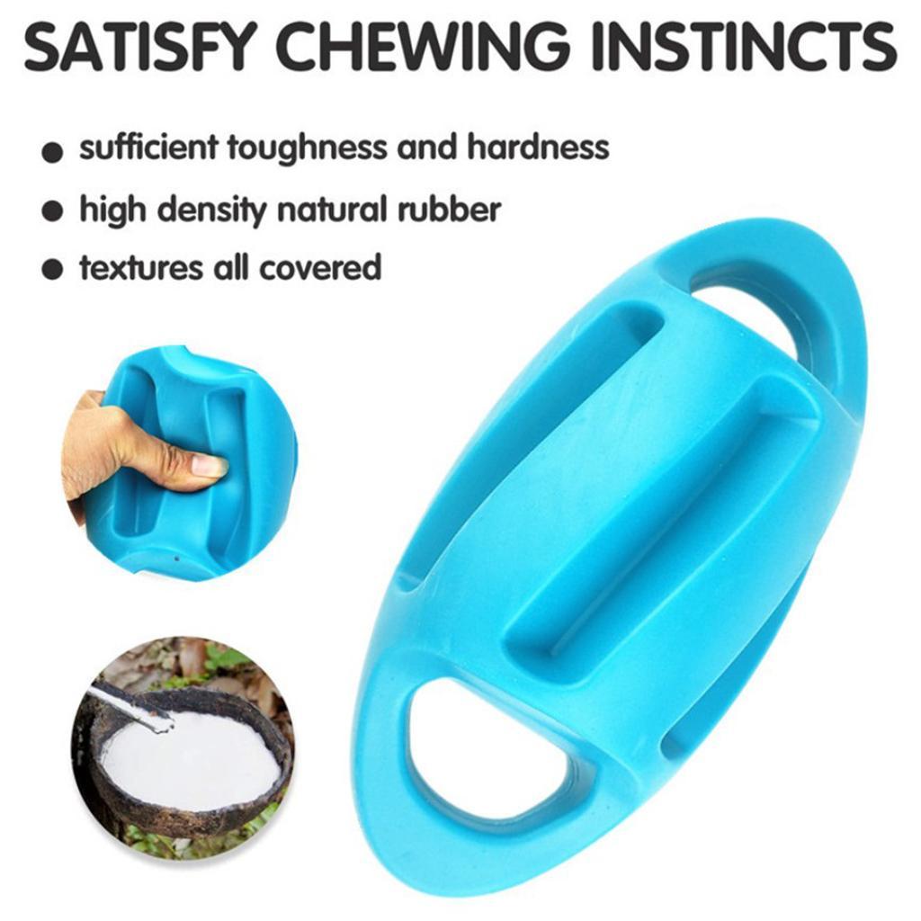 Dog Chew Toy  Squeaky Ball Training Teething Exercise Blue
