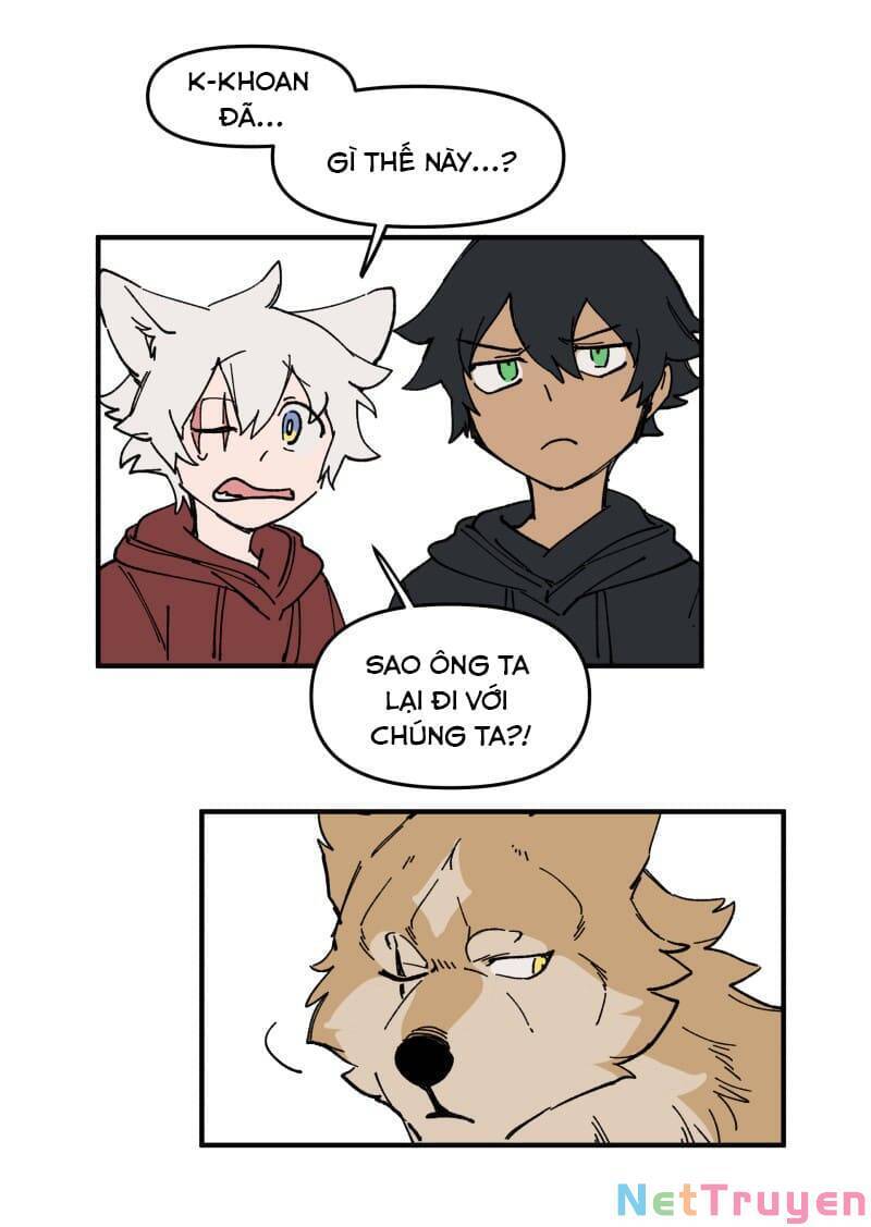 lumine - cội nguồn ánh sáng chapter 162 13