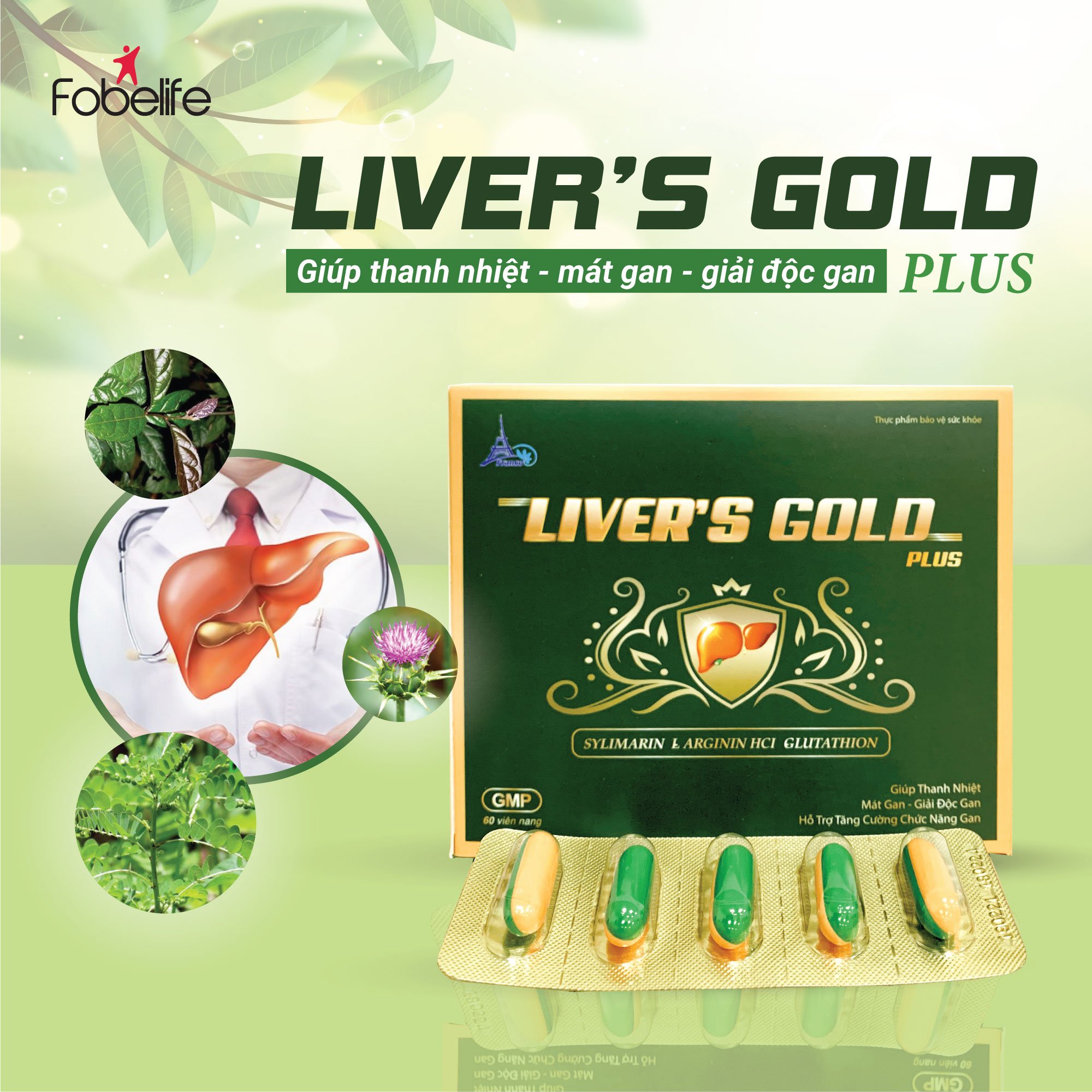 Viên Uống Tăng Cường Chức Năng Gan Cho Người Men Gan Cao Gan Nhiễm Mỡ Viêm Gan Liver Gold plus ( Hộp 60 viên )