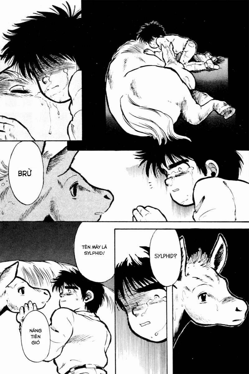 kaze no sylphid - phong mã silphid chapter 1 48