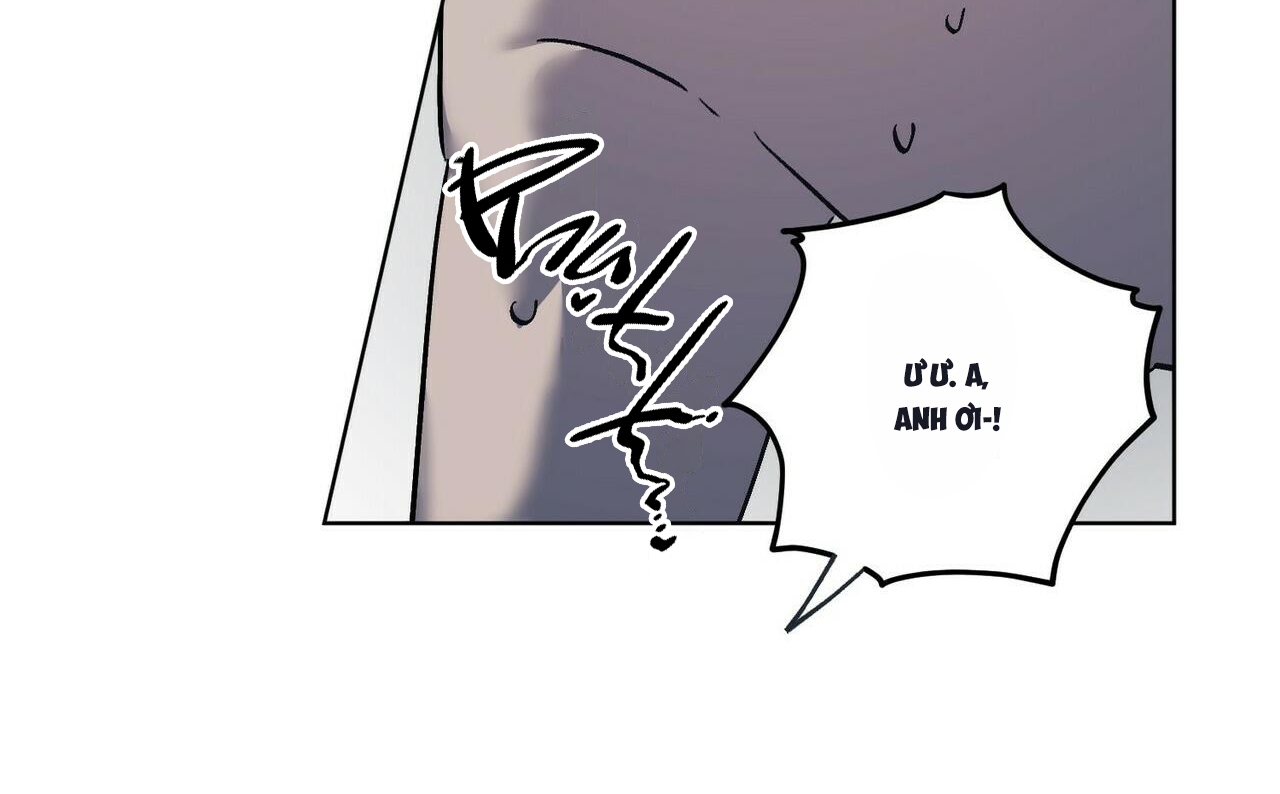 chàng dâu nhà họ kang chapter 19 75