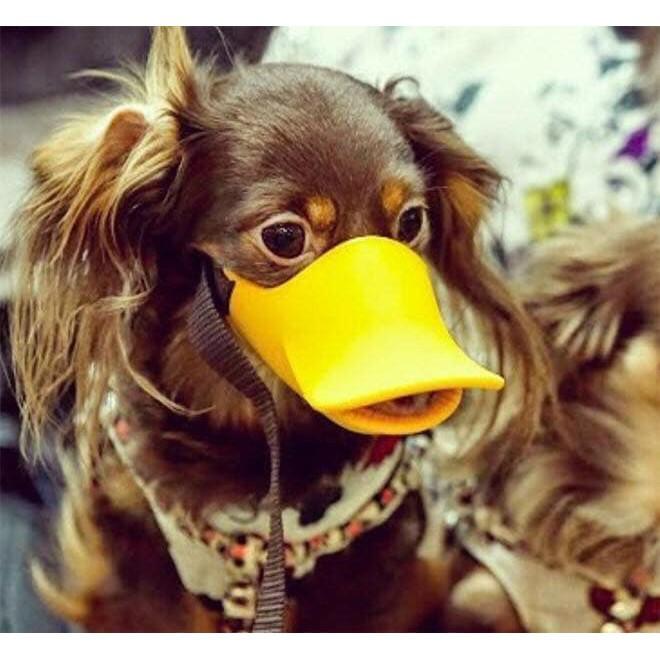 Rọ mõm mỏ vịt cho chó