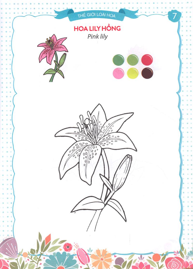 Thế Giới Loài Hoa - Sắc Màu Của Bé 6