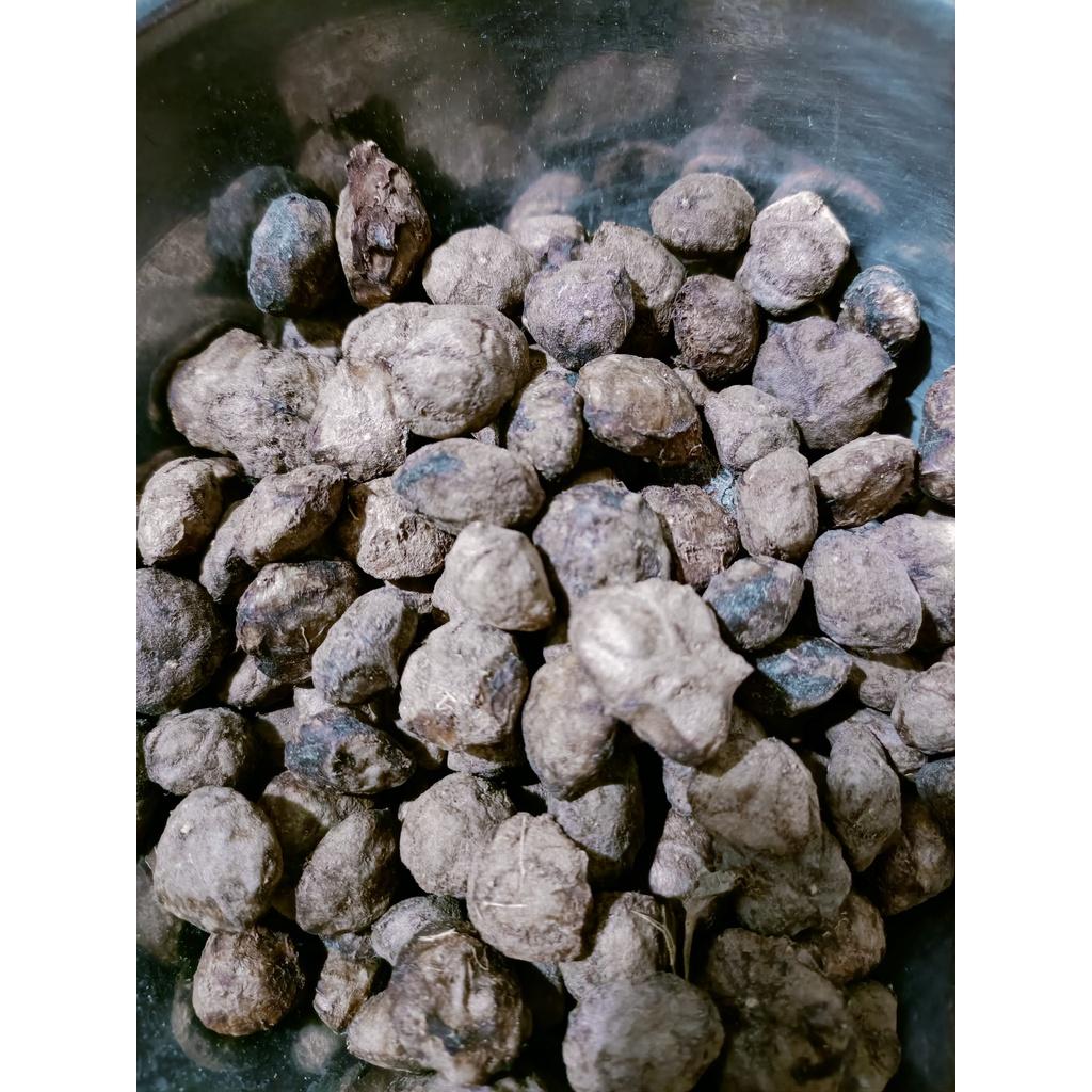 200 gram hạt giống sấu