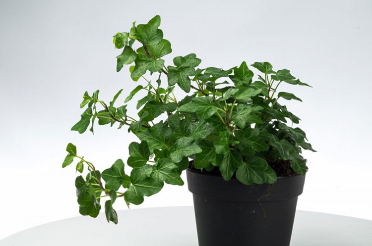 Related image