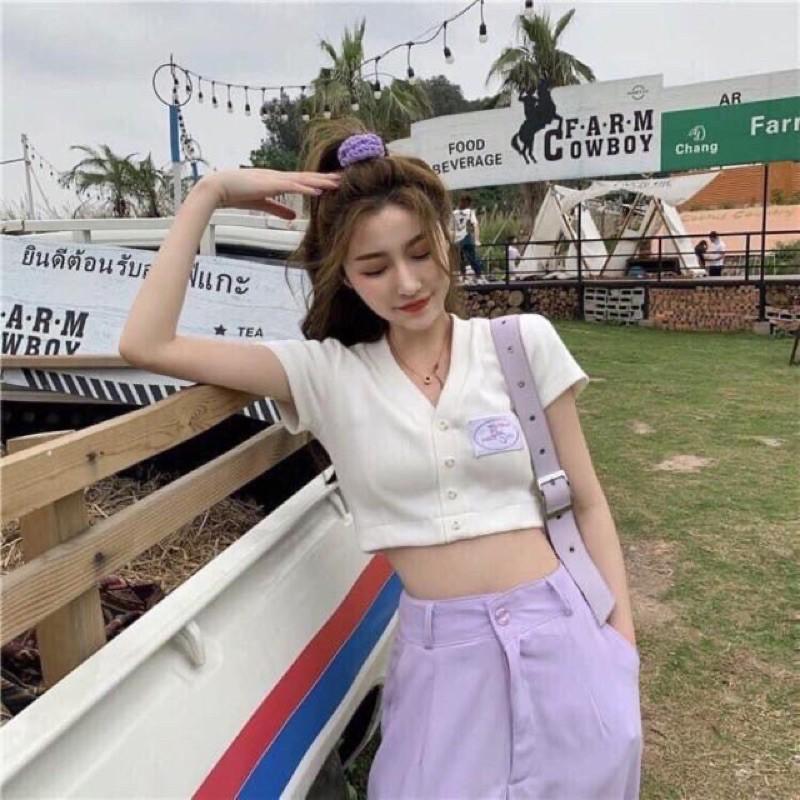 Áo Thun CROPTOP Body Thêu Chữ BS Nhiều Màu