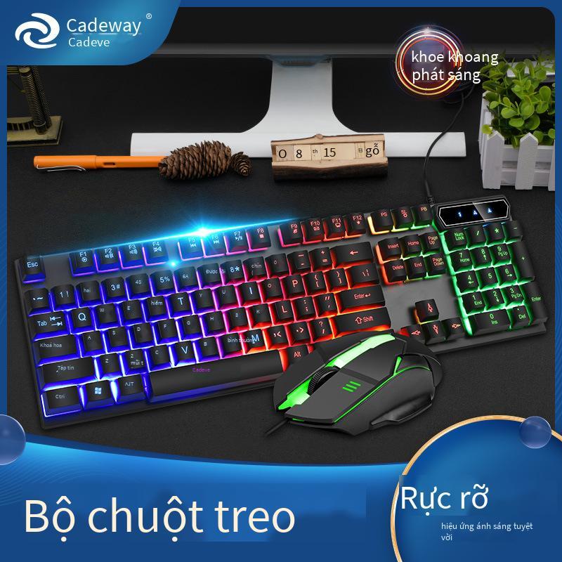 Giao hàng nhanh Kaidiwei có dây usb phím dạ quang bộ chuột máy tính người thao tác cảm thấy bàn phím có đèn nền bộ chuột bàn phím