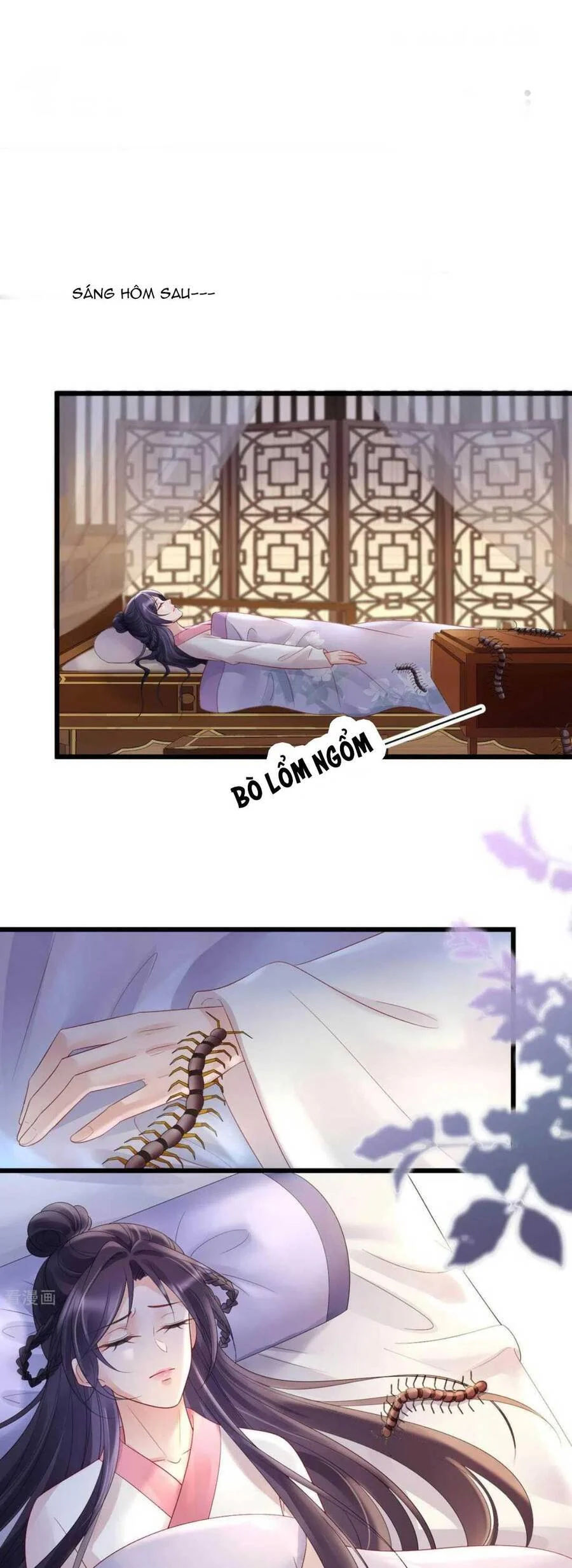 sự trả thù của vương phi chapter 62 1