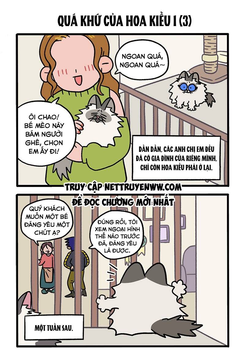 a mãn và mạch trà chapter 47 5