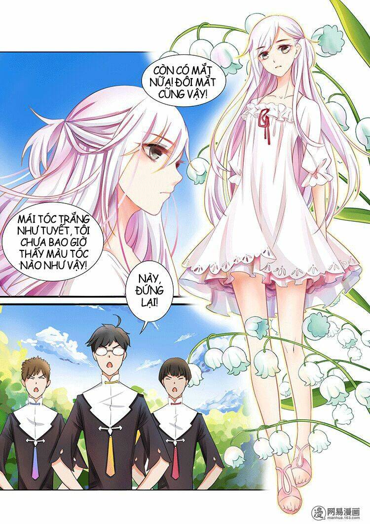 lưu ly hạ rực rỡ chapter 1 4