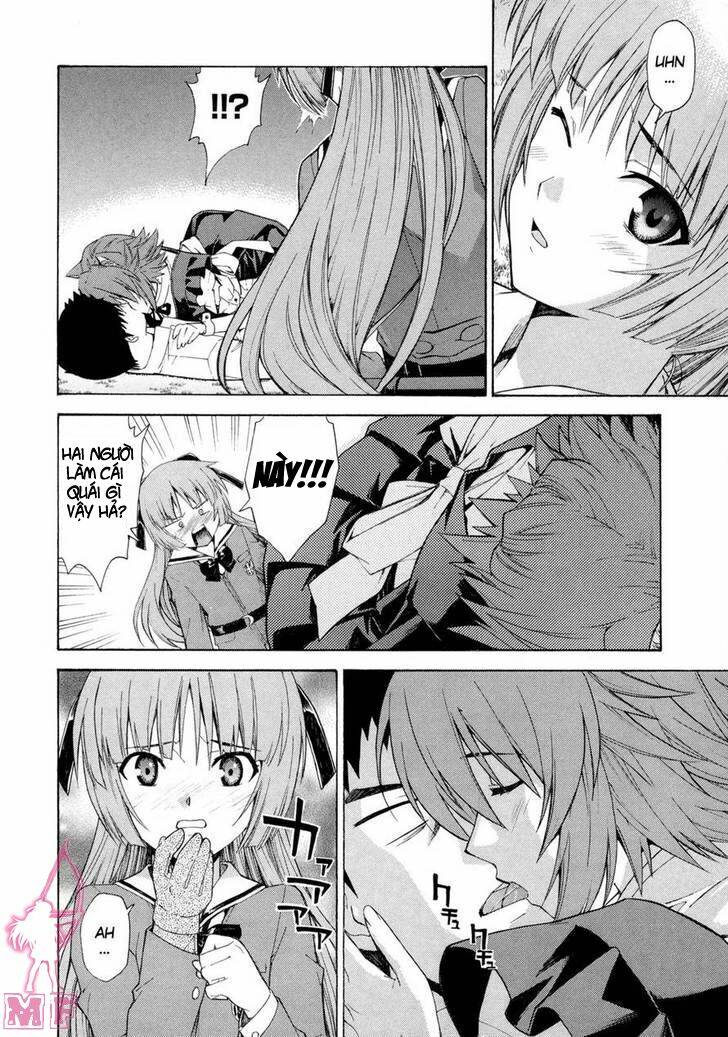 isuca chapter 11 17