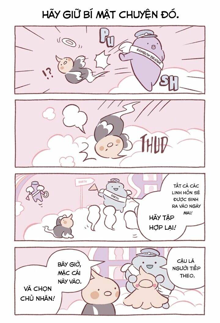 chú mèo kỳ diệu kyuu-chan chapter 691 3