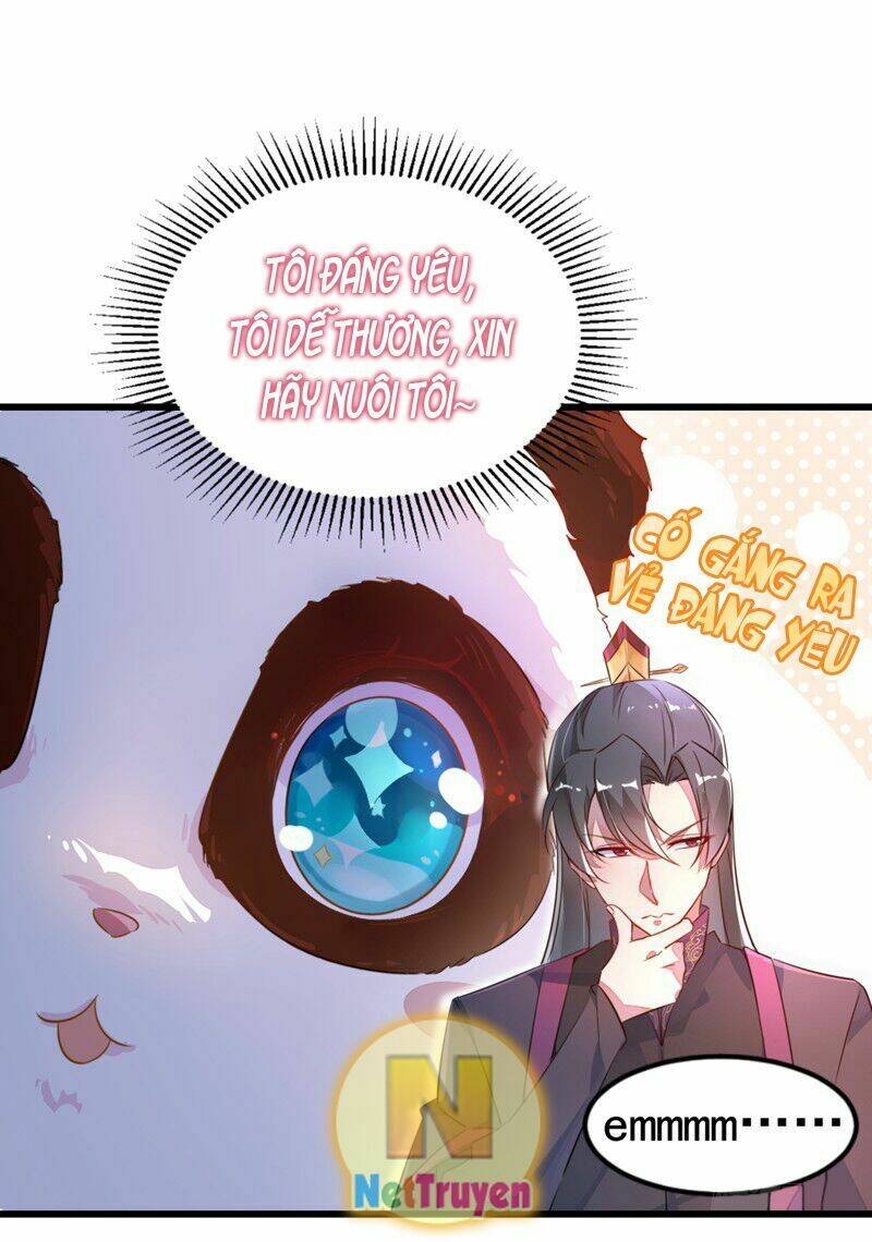 thiên thần gấu trúc muốn được ôm chapter 6 10