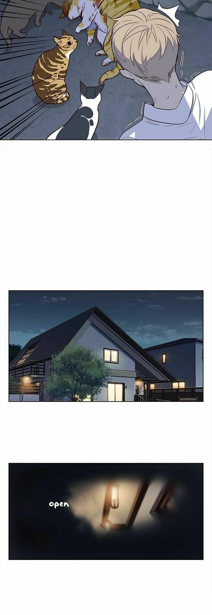 biến thân thành mèo chapter 1 24