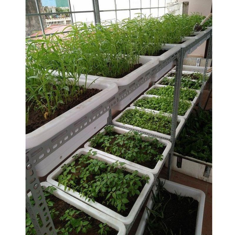 Kệ khung sắt bậc thang trồng rau 3 tầng.Mỗi tầng 2 khay