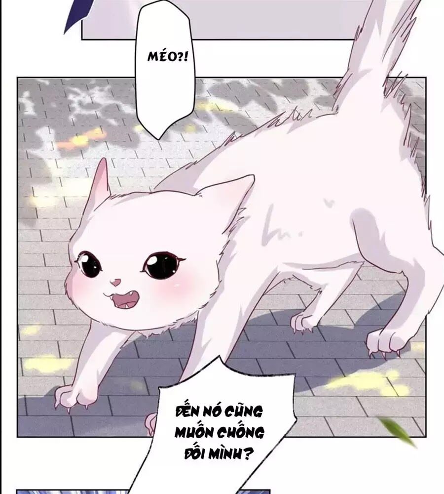 thần luân mật luyến chapter 34 27