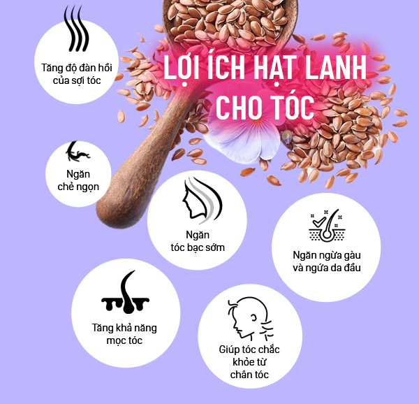 Hạt lanh nâu hữu cơ Organic 500g ProBios