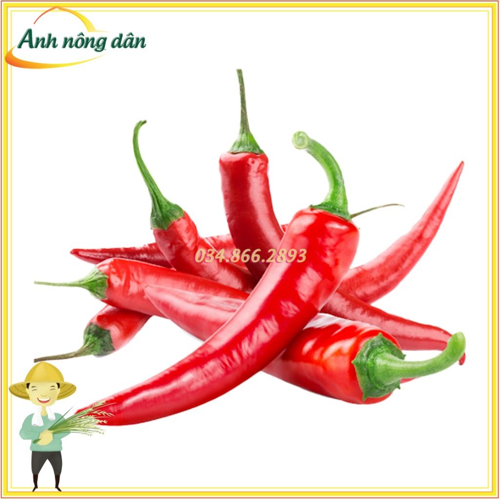Gói 0,5g Hạt giống ớt chỉ thiên F1 năng suất cao, trồng quanh năm - Anh nông dân chính hiệu