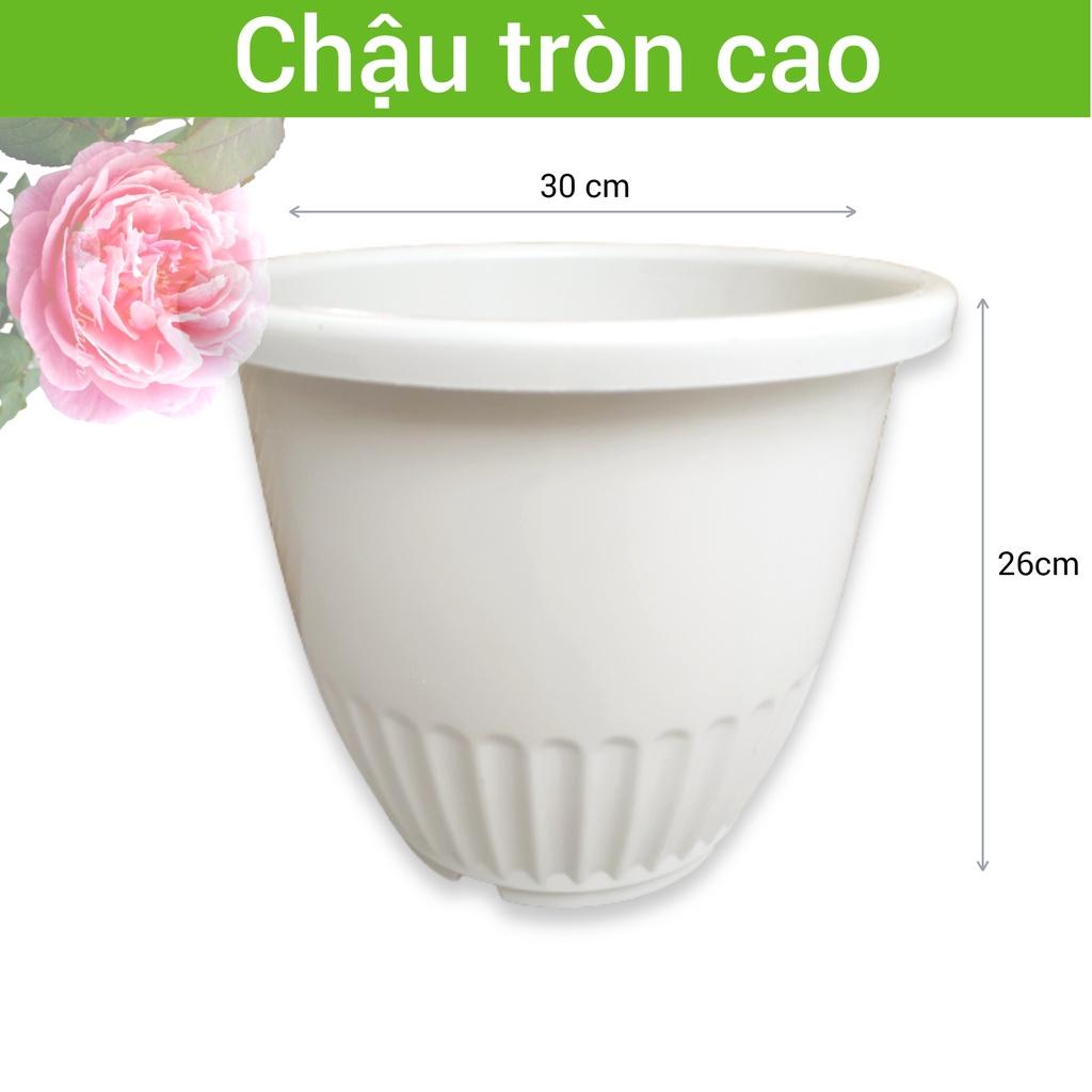 Chậu nhựa tròn trồng cây cỡ trung đường kính 30cm cao 26cm