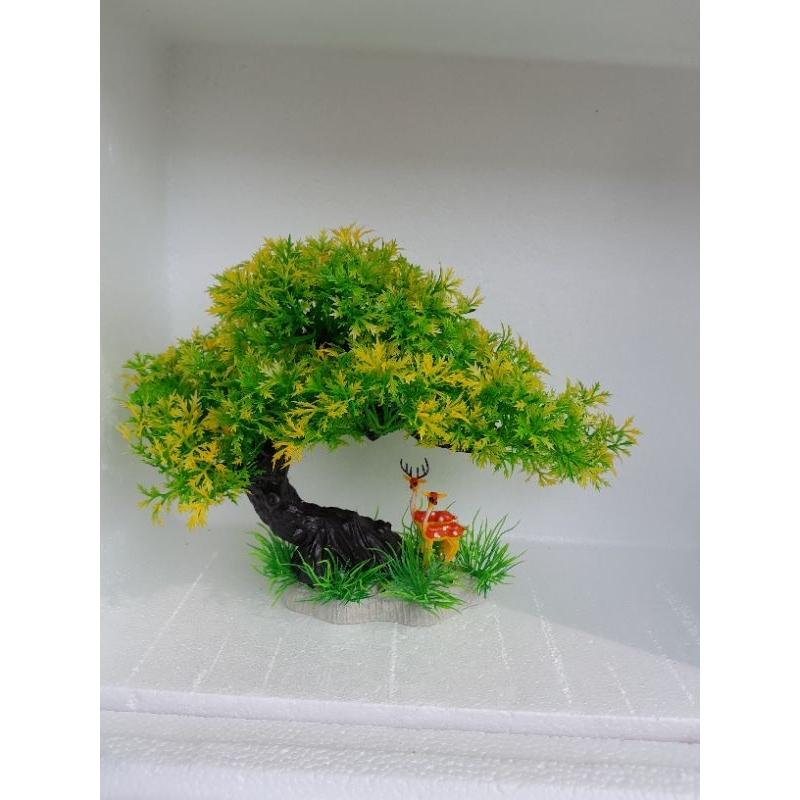 Bonsai bể cá cảnh - cây để bàn - cây trang trí hòn non bộ tiể cảnh