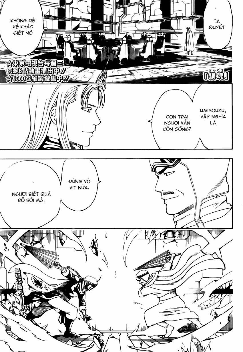 gintama - linh hồn bạc chapter 556 1