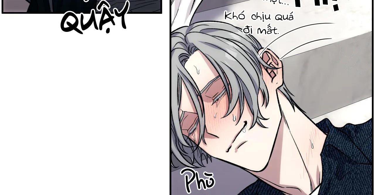 ám ảnh pheromone chapter 50 62