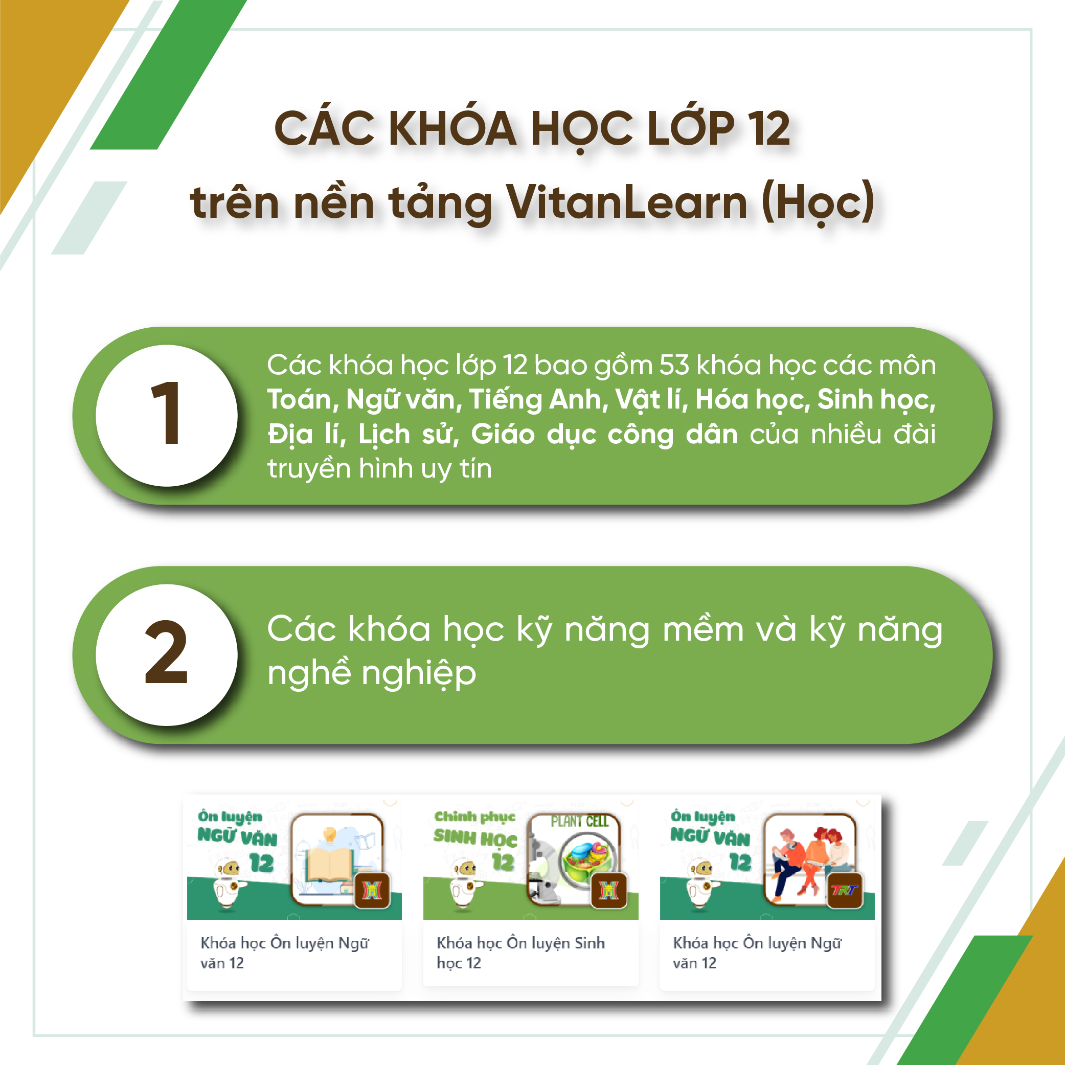 Bộ công cụ Học - Thi - Hướng nghiệp lớp 12, VitanEdu