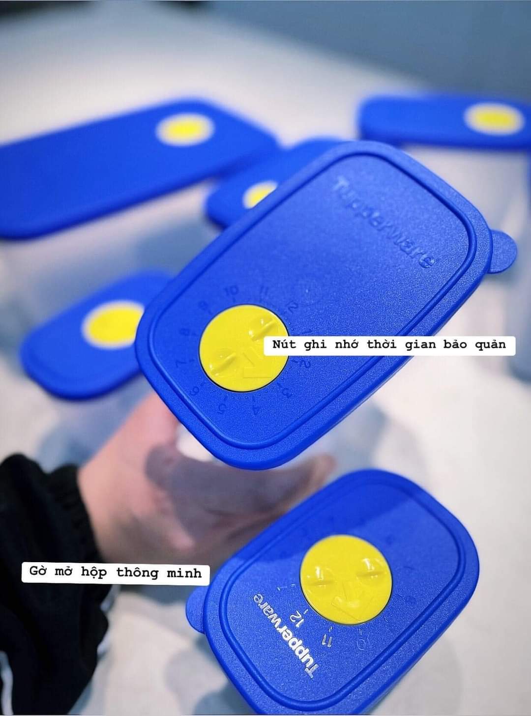 Bộ hộp trữ đông và mát Modern Set 16 hộp - Tupperware chính hãng