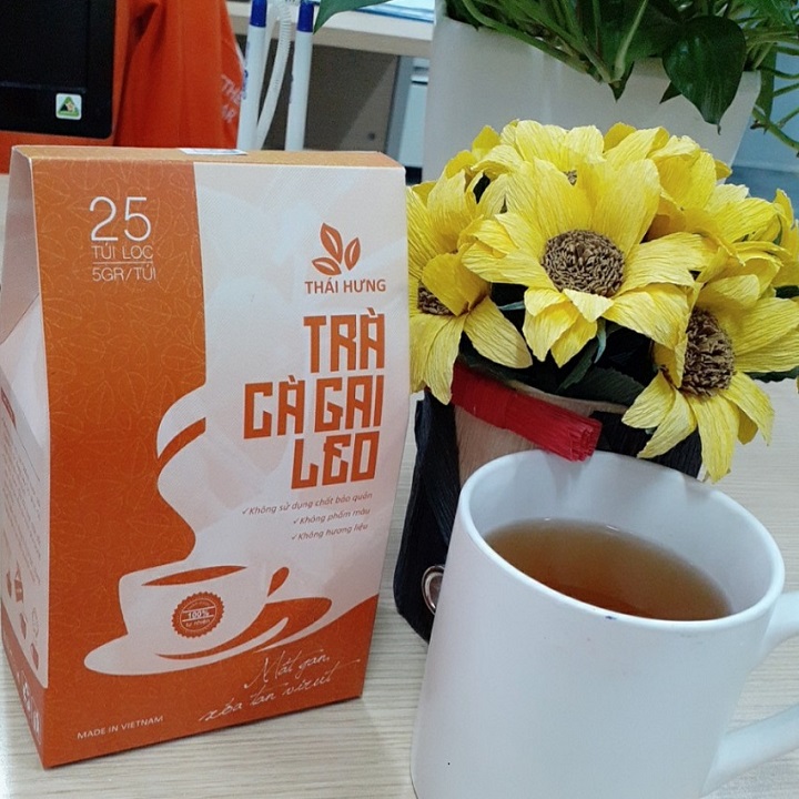 Combo 04 Túi Trà Cà gai leo Thái Hưng Thải độc gan, mát gan, giải rượu 25 túi lọc 5g