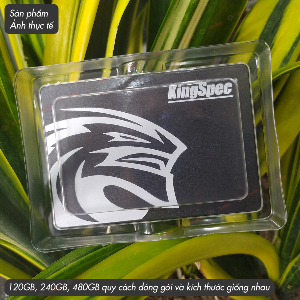 Ổ cứng SSD KingSpec 120GB / P4-120 đã gồm Windows 10 - Hàng Chính Hãng